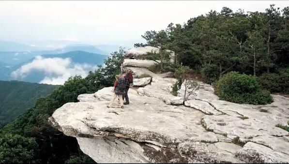 林中漫步/別跟山過不去/偏跟山過不去