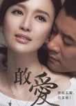 2015大陸劇 敢愛/Dare to Love 任重/張萌 國語中字 盒裝5碟