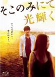 2014日本電影 只在那里發光/陽光只在這里燦爛 綾野剛 日語中字 盒裝1碟