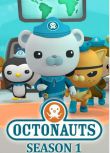 2014高分英國動畫 海底小縱隊/The Octonauts 第1-4季 英語中字 盒裝8碟