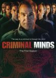 犯罪心理/Criminal Minds 1-11季全集 35碟