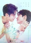 2024高分台劇《看見愛/See Your Love/Project S》國語中字 盒裝2碟